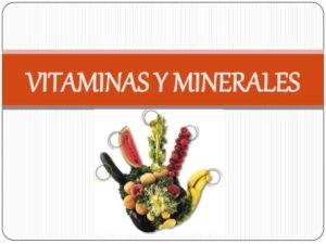 vitaminas y minerales