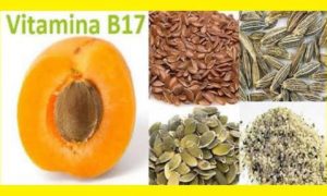 alimentos con vitamina b17