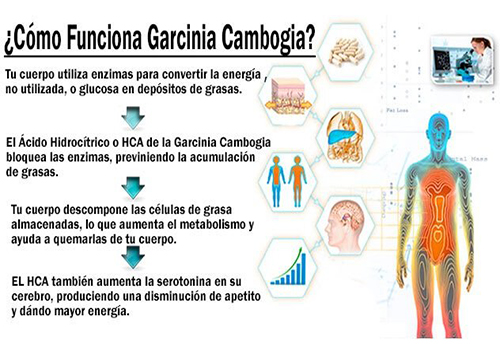 ¿Donde comprar Garcinia Cambogia Comasi en Lima Peru?