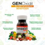 genoxidil nrf2